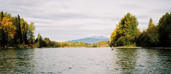 Natur